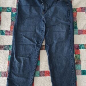 Gloria Vanderbilt Amanda Size 20W Medium Wash Average Embellished Pockets